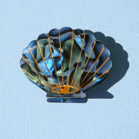 Hair Clip Claw Small Shell Abalone