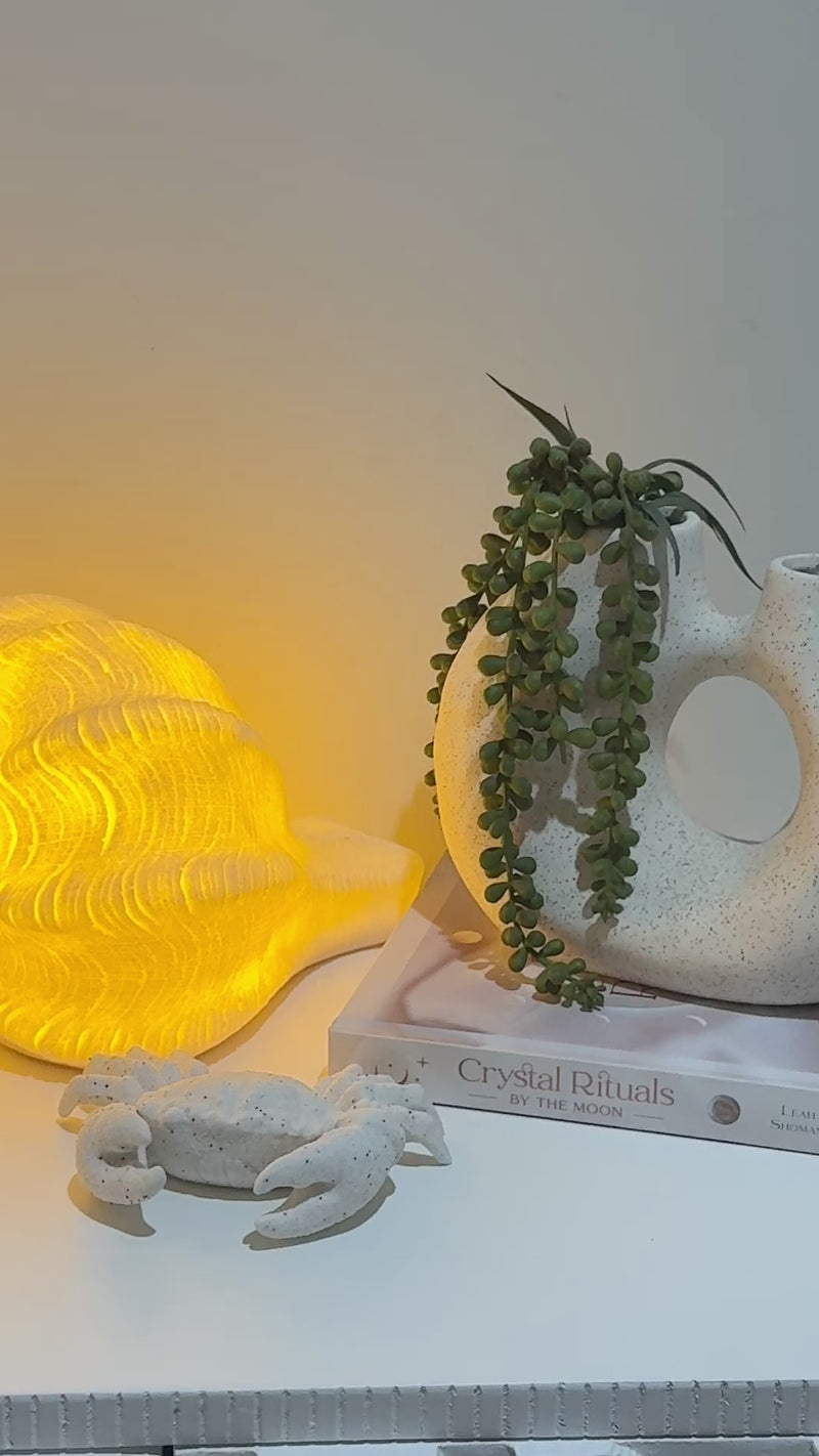 Resin Indoor/Outdoor Lamp Conch